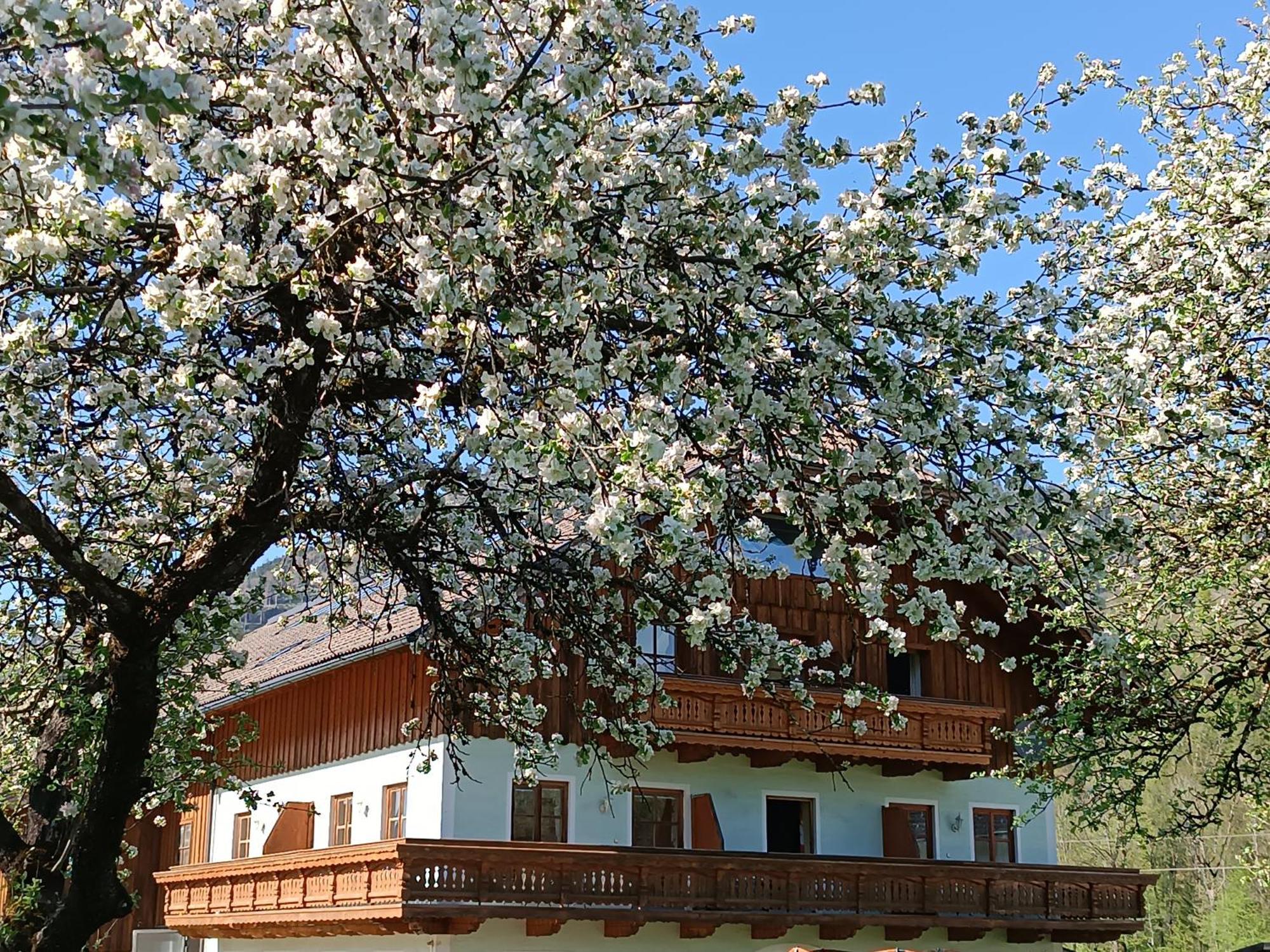 Apartmán Hintererhof Hintersee Exteriér fotografie