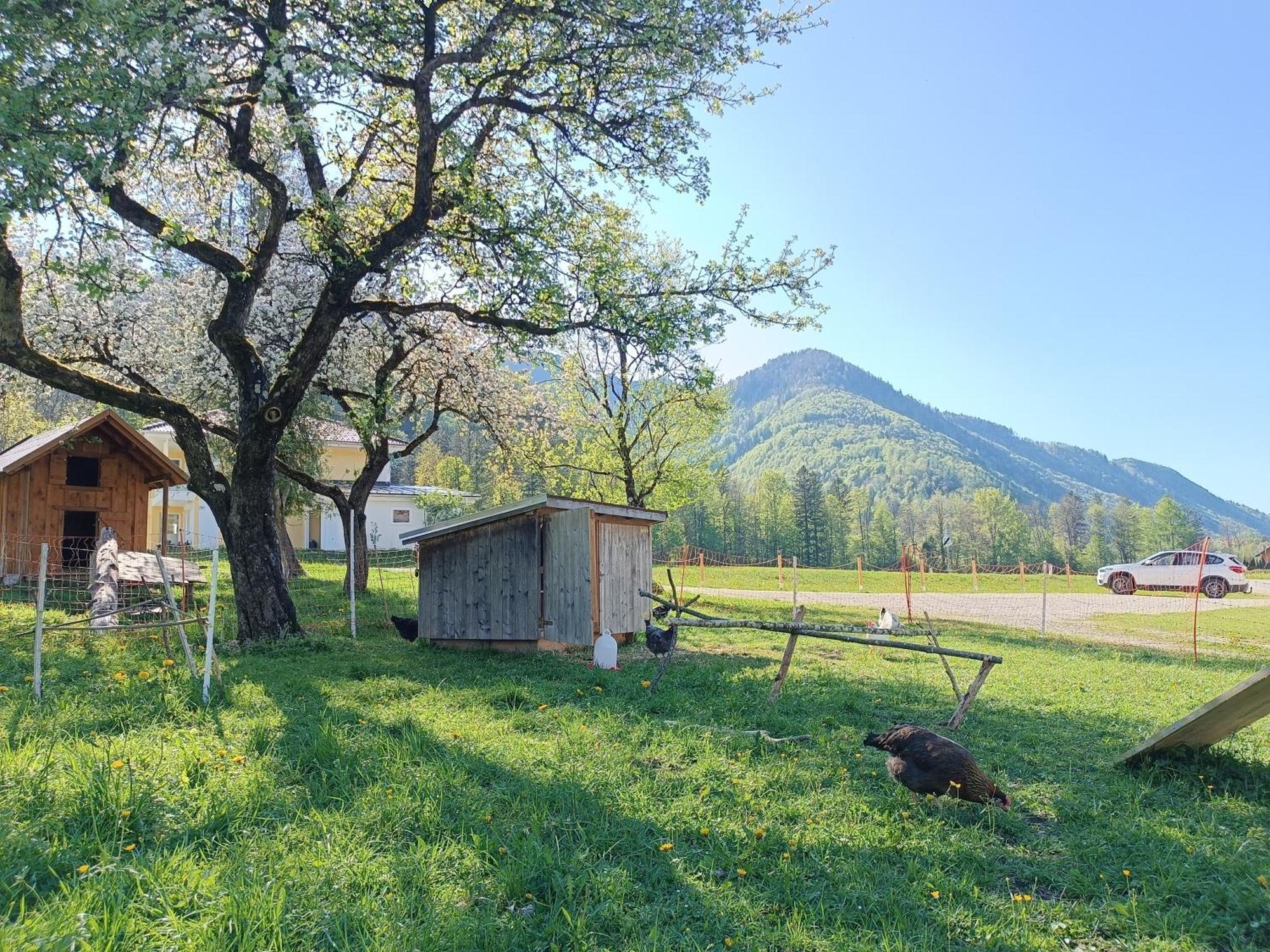 Apartmán Hintererhof Hintersee Exteriér fotografie