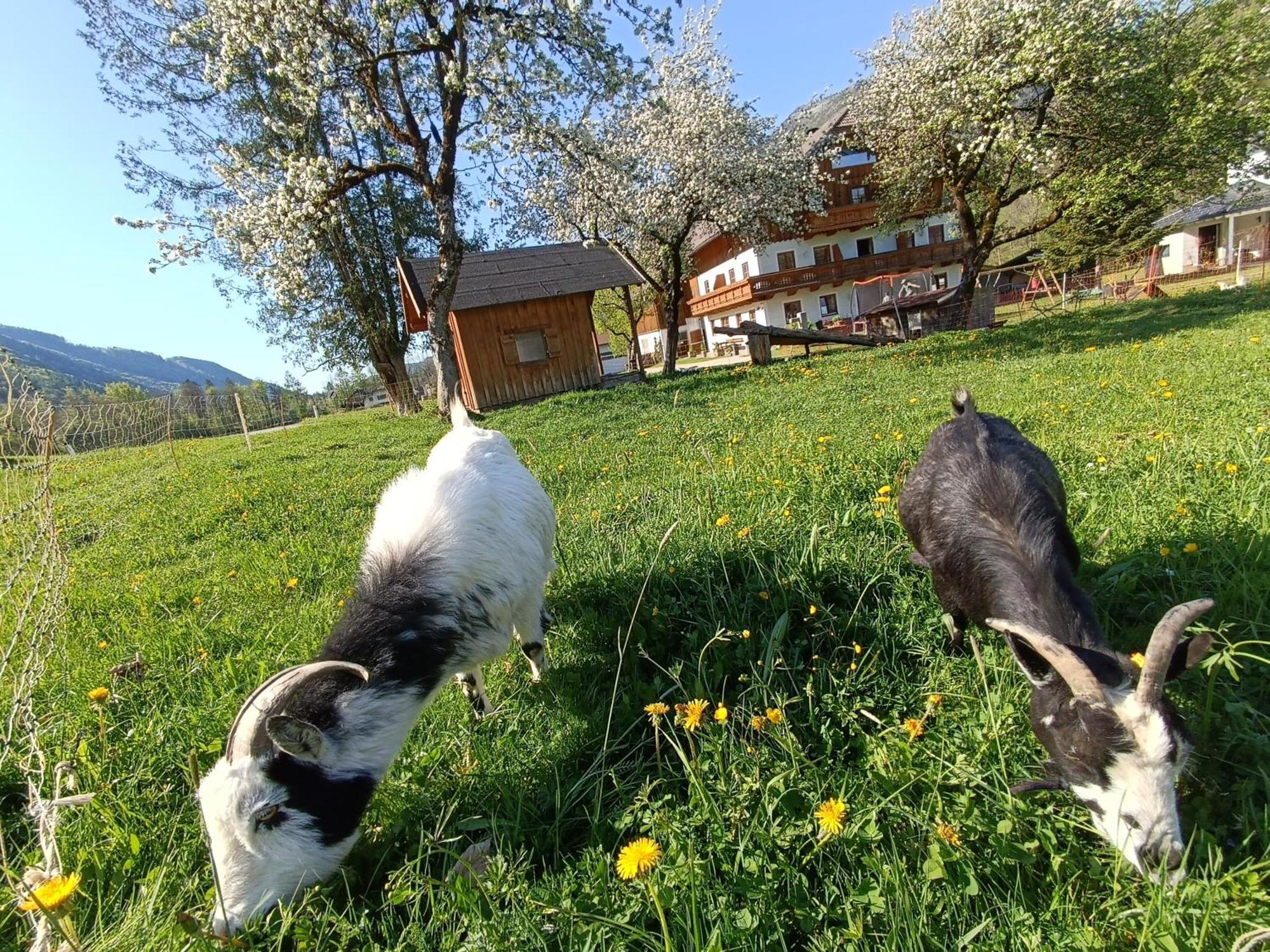 Apartmán Hintererhof Hintersee Exteriér fotografie