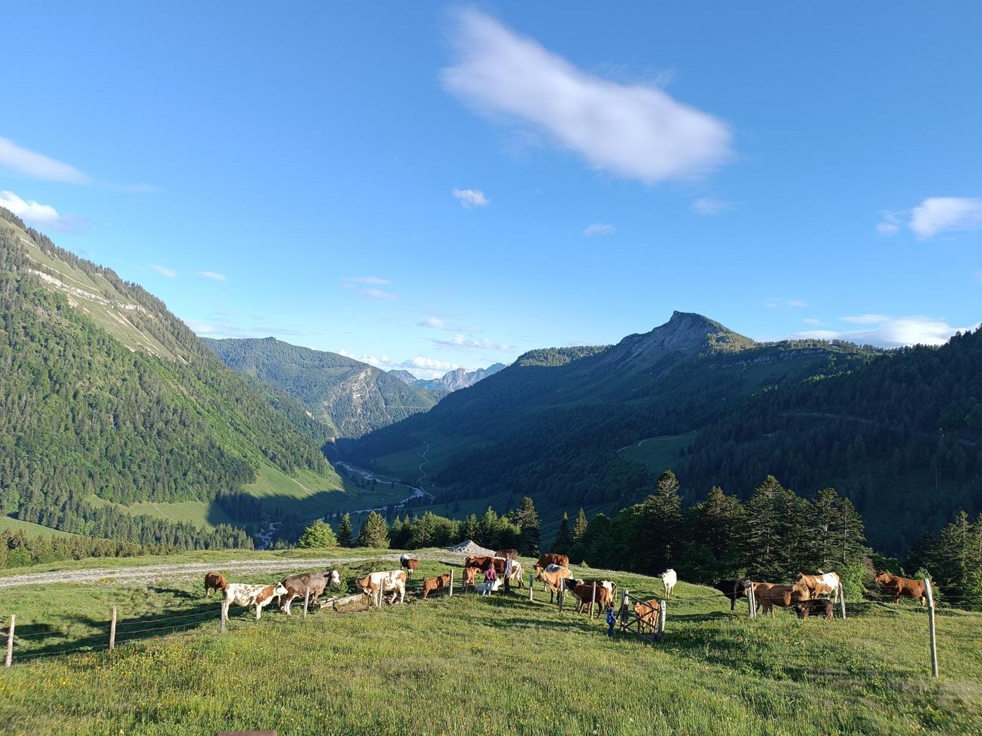 Apartmán Hintererhof Hintersee Exteriér fotografie